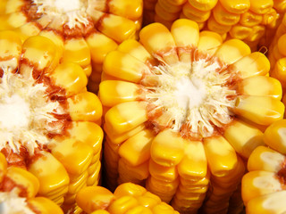 corn © Željko Radojko