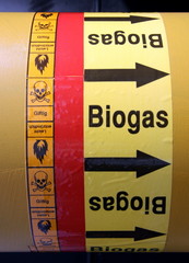 biogas