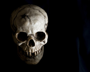 Face of Human Skull in Shadow