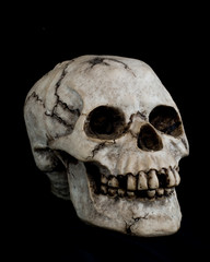 Human Skull on Black Background