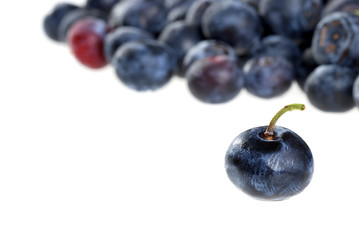 closeup blueberries