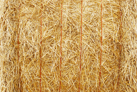 Hay Bale Images  Free Photos, PNG Stickers, Wallpapers