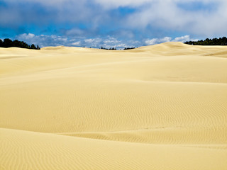 sand dunes