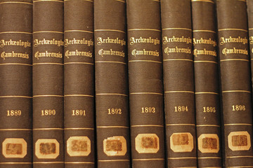 19th Century Archaeological Books