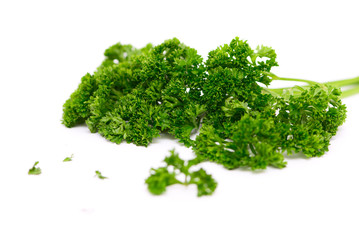 Obraz premium Twig of a parsley