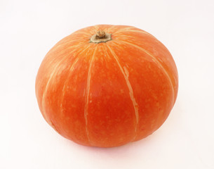 Single fresh pumpkin isolated on white background