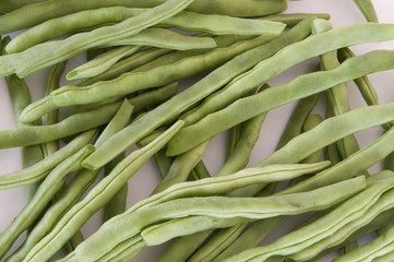 Bohnen, Phaseolus vulgaris, Phaseoleae