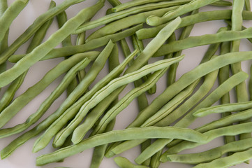 Bohnen, Phaseolus vulgaris, Phaseoleae