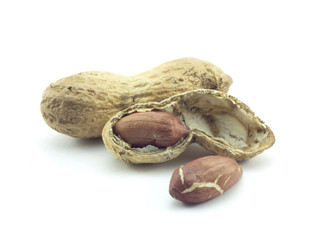 peanut in shell