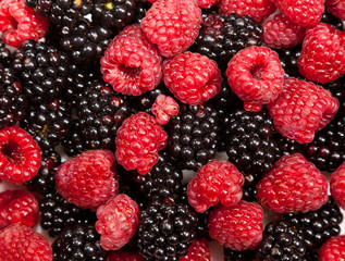 Composition of black and red raspberries