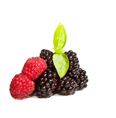 Ripe Black and red raspberries on white isolated background