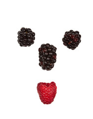 Ripe Black and red raspberries on white isolated background