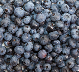 Composition of ripe black and red raspberries, strawberries and