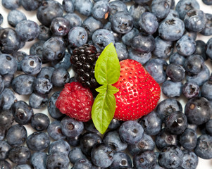 Composition of ripe black and red raspberries, strawberries and