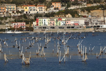 porto venere portovenere liguria