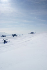 Western Sayan mountains. Ergaky. Siberia. Russia in winter time.