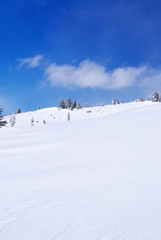Western Sayan mountains. Ergaky. Siberia. Russia in winter time.