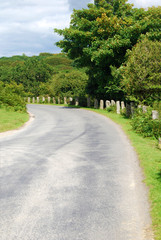 Chemin de campagne