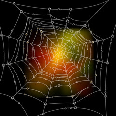Autumn background with a spider's web