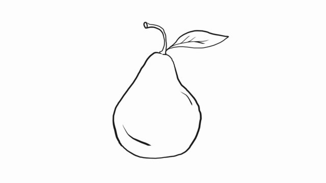 Drawing of a pear, HD.
