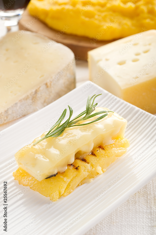 Wall mural grilled polenta with cheese- polenta grigliata e formaggio