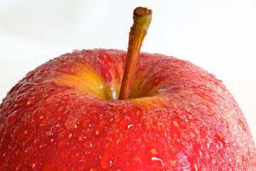 Apfel