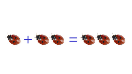 Mathematics equation.