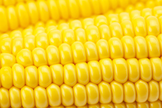 Background corn