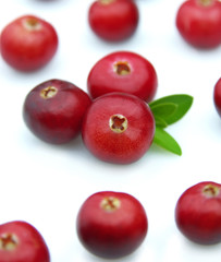 Juicy cranberry