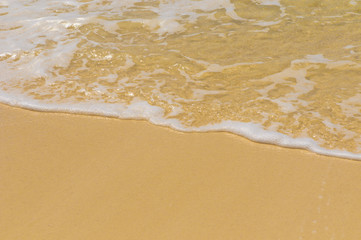 Fototapeta na wymiar surf in the tropical beach