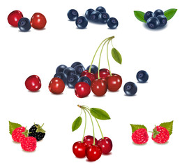 Photo-realistic vector illustration. Group of berries.