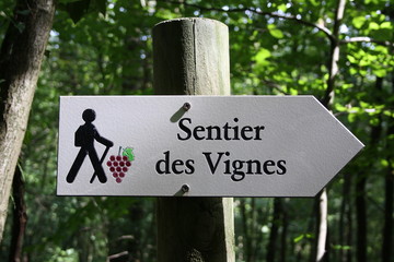 Sentier des Vignes 2