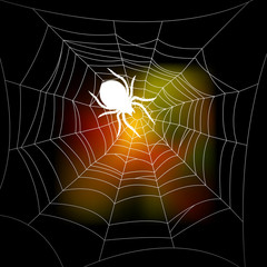 Web