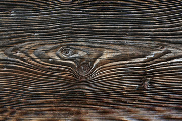 Fototapeta premium Maserung - wood graining