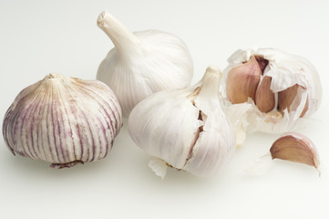 Garlic Bulbs (Allium sativum)