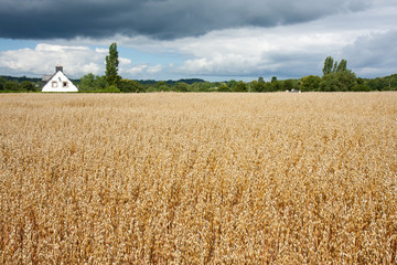 French cottage in the field with threatening thunderstorm