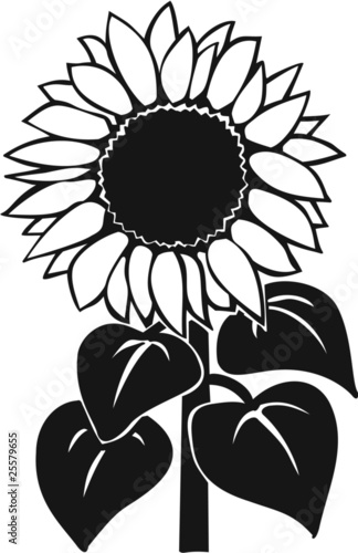 Download "Sunflower Vinyl Ready Vector Illustration" Stock image ...