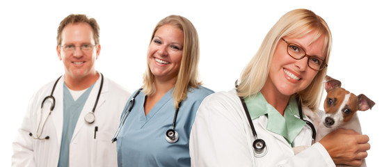 Fototapeta premium Female Veterinarian Doctors with Small Puppy