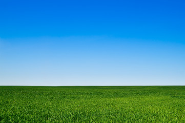 Obraz premium landscape