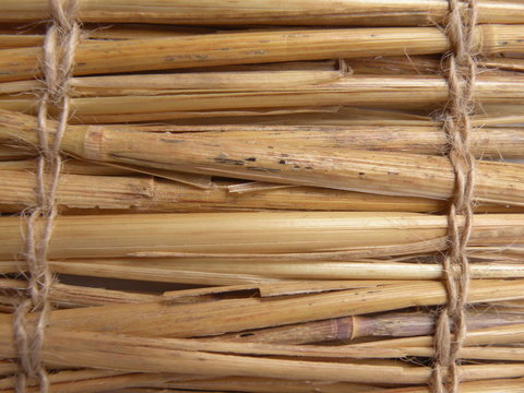 paille - 05