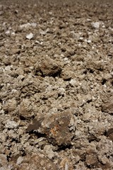 agriculture plough plow clay soil perspective