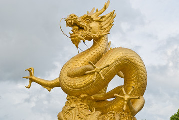 Fototapeta na wymiar gold dragon