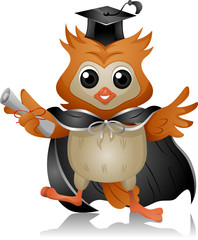 Owl Graduate