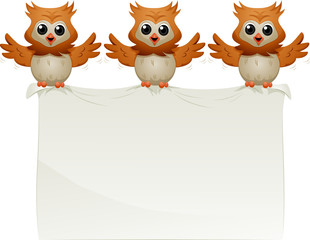 Fototapeta premium Owls Carrying Blank Notice