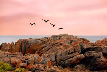 Raamstickers Sunset coast © Imagevixen