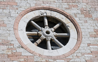 Rose window. St. Maria Maggiore Church. Assisi. Umbria.