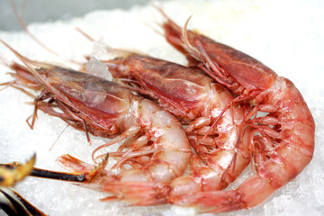 Gamberoni Freschi del Mediterraneo