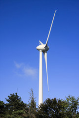 Generatore Eolico -  wind generetor