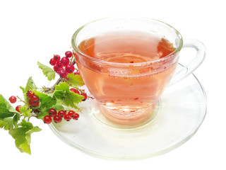 fruit tea with red currant extract