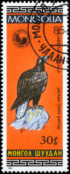 MONGOLIA - CIRCA 1985 Eagle